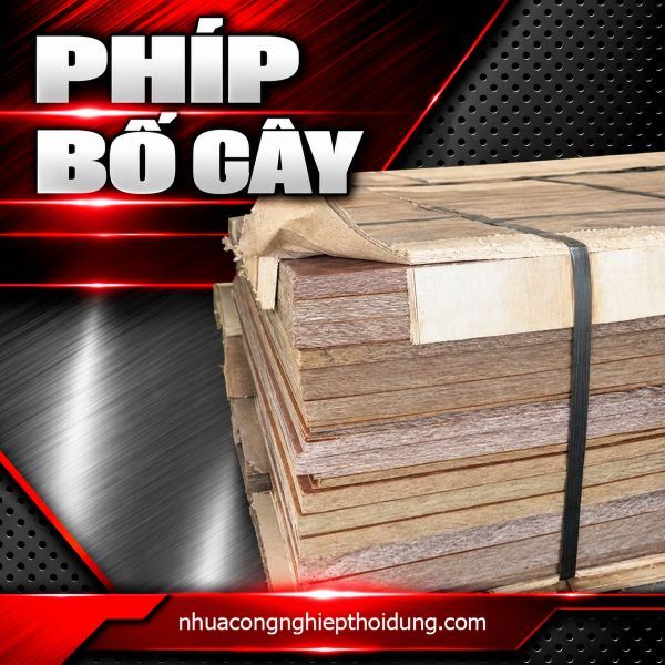 Phíp bố cây